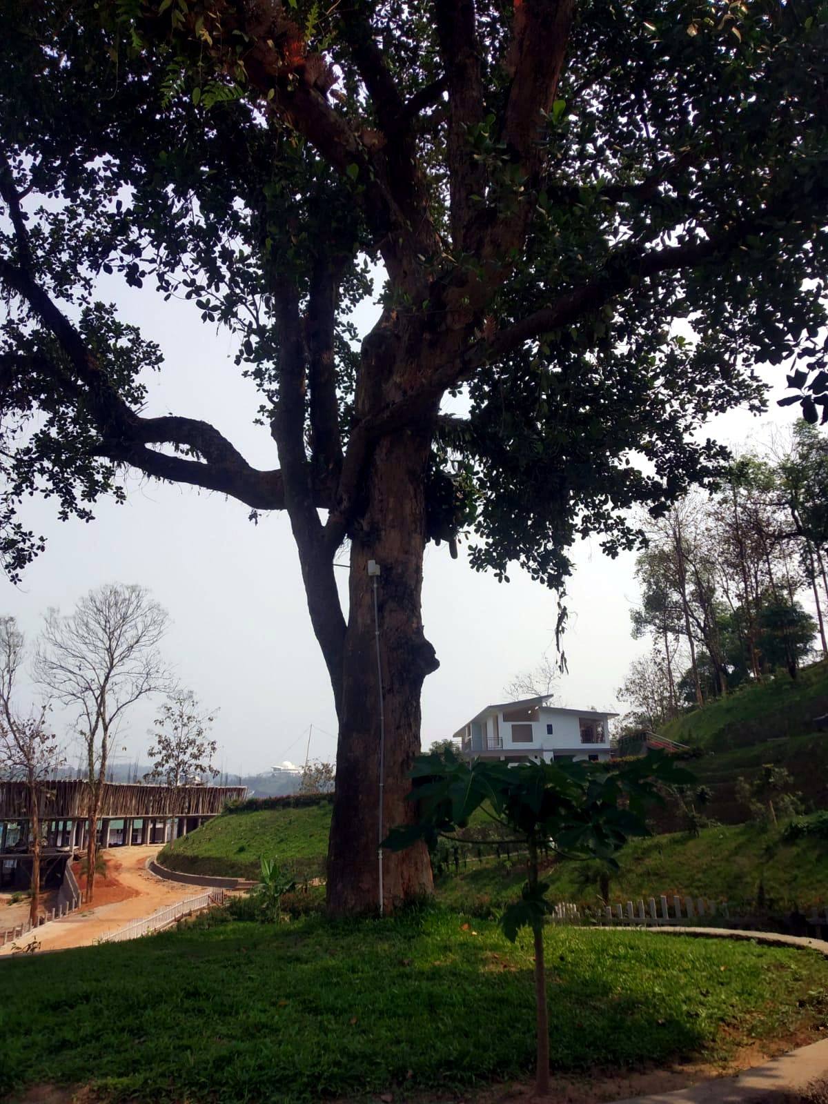 The Nest campus and the hills of Medhikuchi